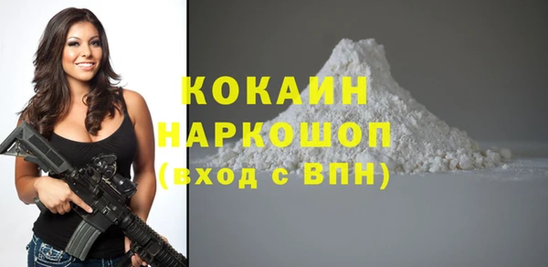 мдпв Бронницы
