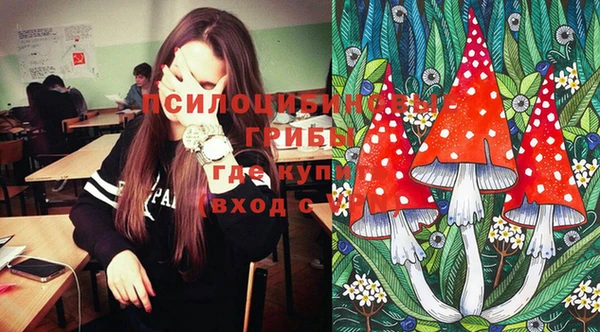 шишки Покров